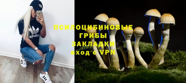 крисы Михайловка