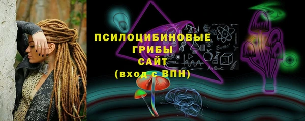 крисы Михайловка