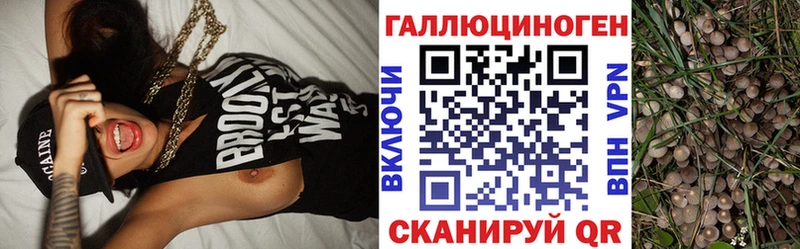 MEGA как зайти  Тотьма  Галлюциногенные грибы прущие грибы 